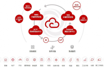 2022年中國(guó)物流軟件市場(chǎng)分析與2023 年展望— 訪上海富勒信息科技有限公司副總裁張竑偉先生