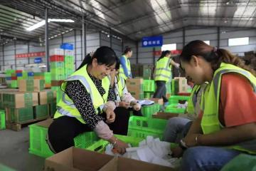 如何釋放農村家居消費潛力？如何優化縣域流通網絡和渠道？商務部答記者問