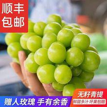 日本晴王葡萄新鮮水果無籽寶寶輔食孕婦營養(yǎng)青島港進口報關(guān)