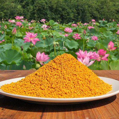 常州港進口美國蜂花粉蜂蜜食品普貨報關清關上班能認出算我輸